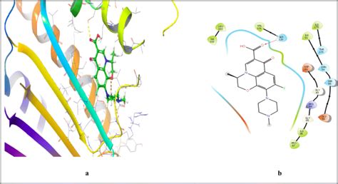 Design Synthesis In Silico Studies And Biological Evaluation Of 5 E