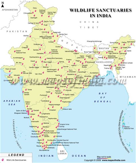 Wildlife sanctuaries in India map - Map of India wildlife sanctuaries ...