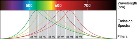 Calibration Standard for TexasRED615 Dye on QuantStudio instruments ...