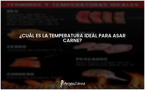 La temperatura perfecta para asar carne Guía rápida ARGENCARNE