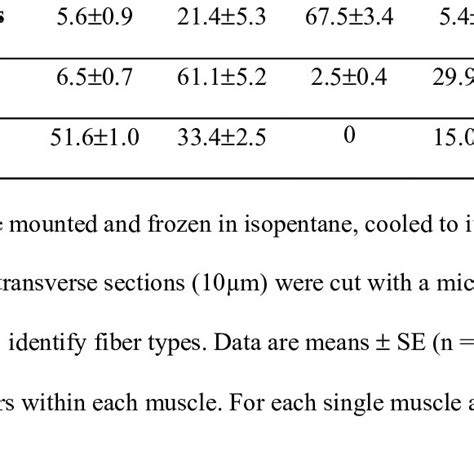 Fiber Type Composition Of Epitrochlearis Fdb And Soleus Muscles From