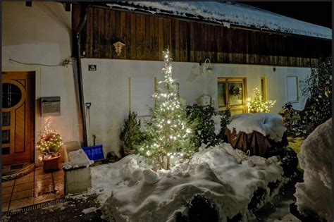 Pin By Jen Hartnett On Christmas Trees Outside Christmas Tree