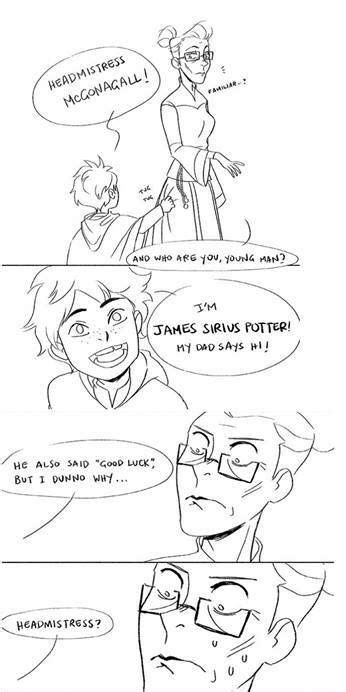 Pin By Heidi Fechtelkotter On Pot Opotter Harry Potter Comics Harry Potter Funny Harry