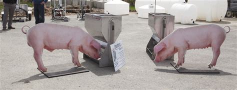 Wet Dry Feeders For Pigs Ls Bilodeau