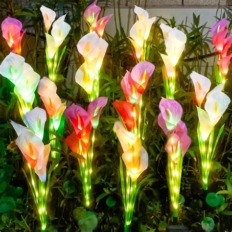 Amazon Baquler Pcs Palm Coconuts Tree Solar Stake Lights