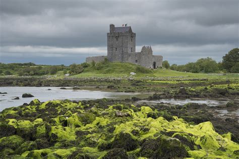 Dunguaire Castle Co Galway - Free photo on Pixabay - Pixabay