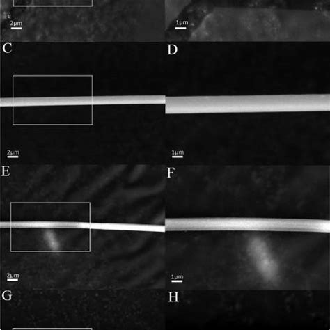 Scanning Electron Microscopy Images Of Fibers Formed From NTW 1 CT To