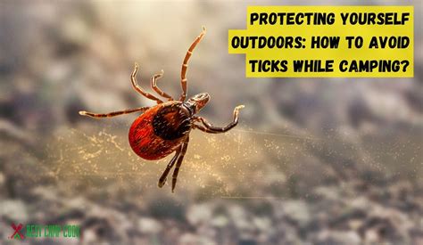 Protecting Yourself Outdoors How To Avoid Ticks While Camping