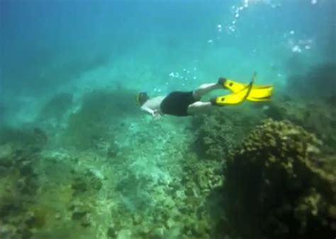 Saturday Video: Snorkeling Around Sandy Island, Carriacou