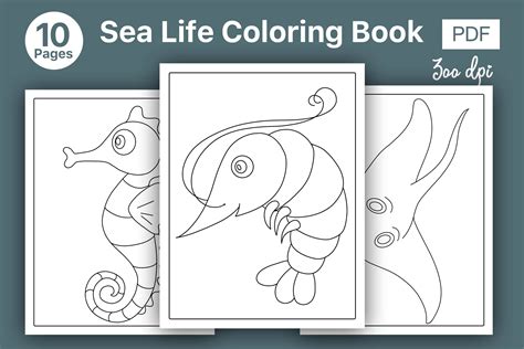 Sea Life Animals Coloring Pages Volume 1 Graphic by Skalling Dygital ...