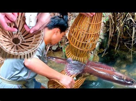 Gadis Sabah Menahan Bubu Di Anak Sungai Bersama Adik Hasilnya Dapat