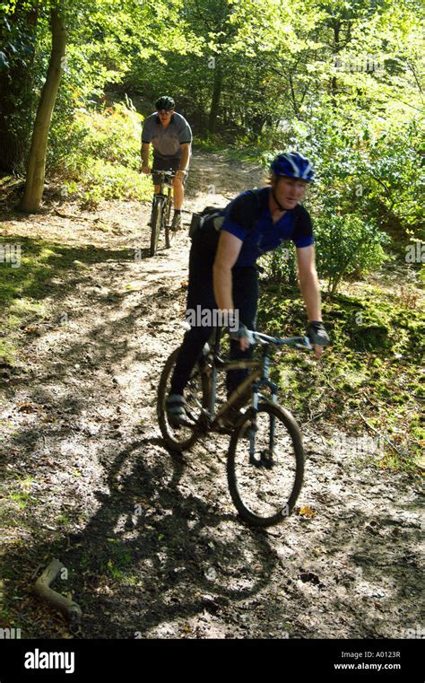 Mountain Bikers In Epping Forest Stock Photo Alamy