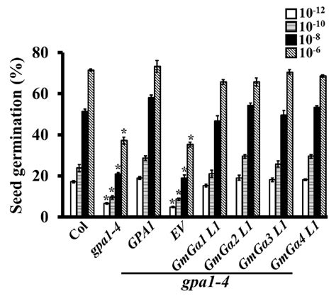 The Effect Of Ga 3 On Pac Inhibited Seed Germination Of Wt Gpa1 And Download Scientific