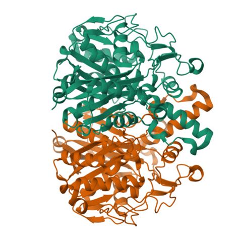 Rcsb Pdb 5sxo 135 Angstrom Resolution Crystal Structure Of Beta