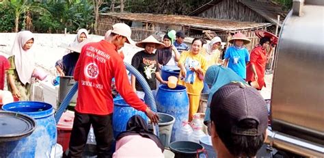 Dampak El Nino Di Kabupaten Serang Kebakaran Kekeringan Hingga Krisis