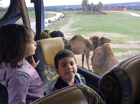 Excursi N Al Safari Madrid De Primaria Colegio Arturo Soria