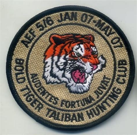 NTM NATO TIGER MEET vêlkrö INSIGNIA PATCH NTM Ørland MAS Norway 17 28