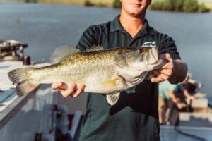 Spring Has Sprung Pond Management Tips To Prep For An Epic Fishing