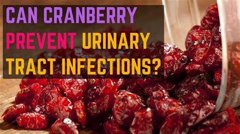 Can Cranberry Prevent Urinary Tract Infections Uti Natural