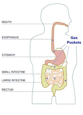 Gassy Stomach: The best way to settle any gassy stomach