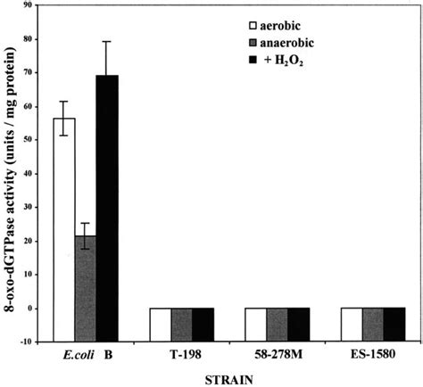 Lack Of Detectable 8 OxodGTPase Activity In Extracts Of Wildtype And