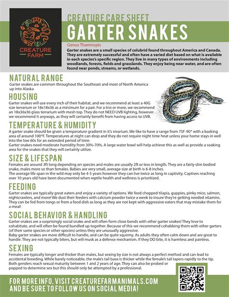 Garter Snake Care – Creature Farm