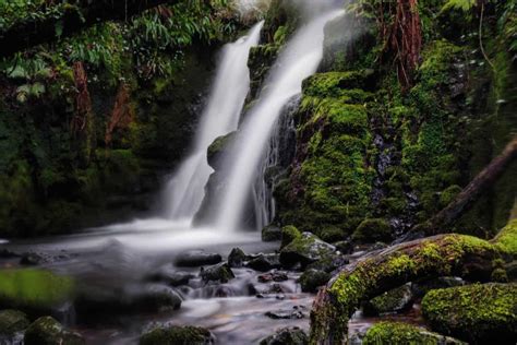 Visit Dartmoor Best Things To Do In Dartmoor National Park Solosophie