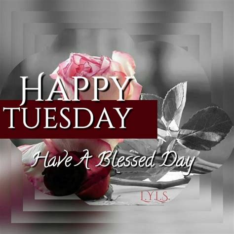 Happy Tuesday Have A Blessed Day Happy Tuesday Quotes Happy