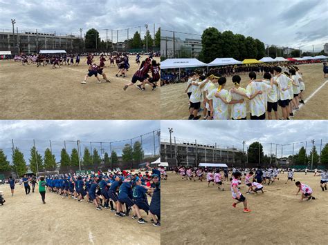 体育祭を実施しました！！ ｜ 東京都立三鷹中等教育学校 東京都立学校