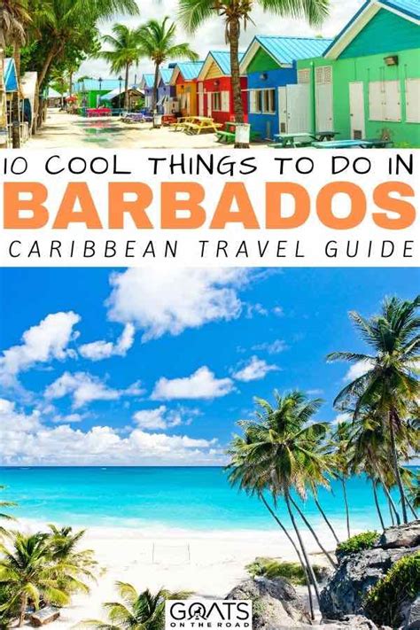 15 Best Things To Do In Barbados In 2023 Goats On The Road