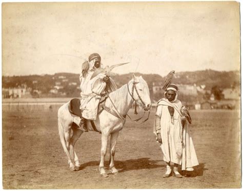 Falcon Hunting La Chasse Au Faucon Cavalier Et Catawiki