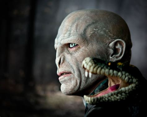 Lord Voldemort With Nagini Bust Harry Potter Elbenwald