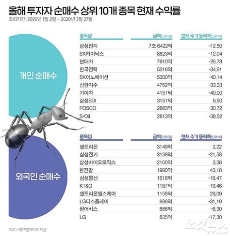 홍기자의 쏘왓 위기 때마다 주식 돌진한 개미들 성과는 네이트 뉴스