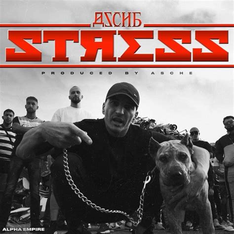 Asche Stress Lyrics Genius Lyrics