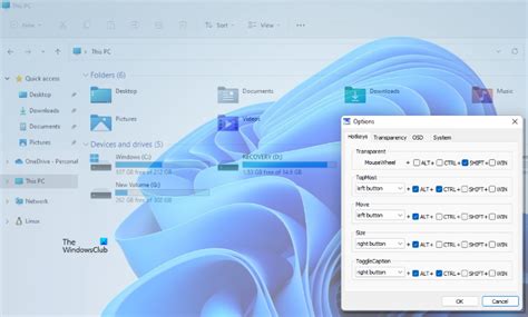 windows transparent  windows