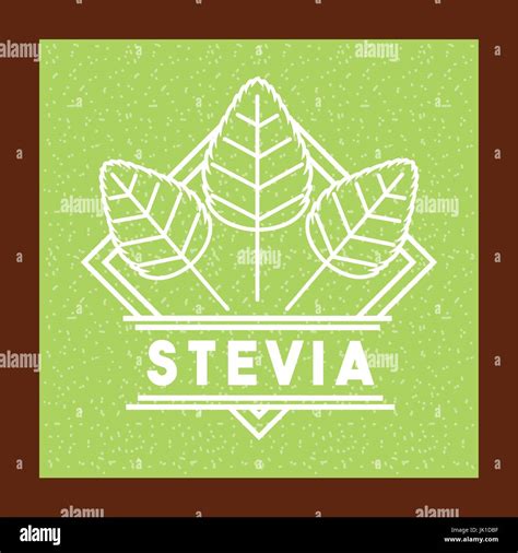 Stevia Natural Sweetener Stock Vector Image Art Alamy