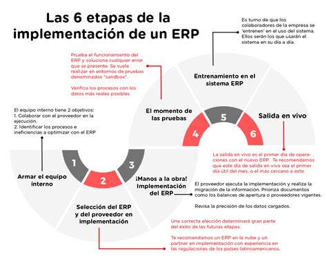 Guía Completa Para Un Proyecto De Implementación Erp