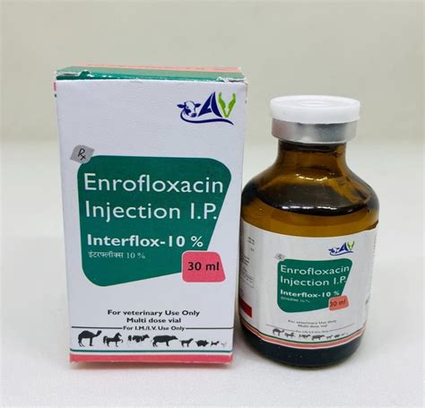 30ml Enrofloxacin Injection Packaging Type Box 3ml At Rs 250 Box In