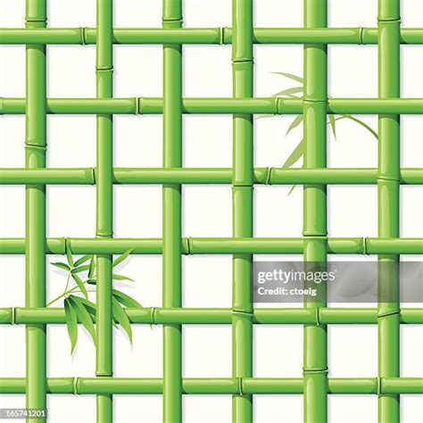 744 Bamboo Fence Design Stock Photos, High-Res Pictures, and Images ...