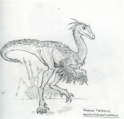 Troodon By AnyaDServal On DeviantArt