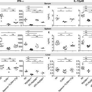 TLR9 And MyD88 Signaling In CD11c Cells Controls MCMV Infection In