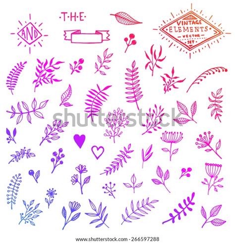 Set Vintage Floral Handsketched Elements Flowers Stock Vector Royalty