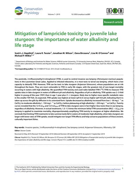 PDF Mitigation Of Lampricide Toxicity To Juvenile Lake Sturgeon The