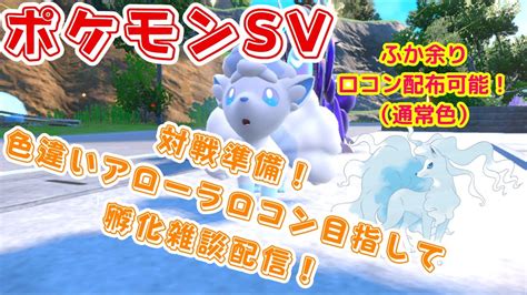 【ポケモンsv孵化余り配布あり】色違い厳選雑談！ 対戦で使う為にアローラロコン色違いを孵化するぞ！！ ※アローラロコン色違い配布可能