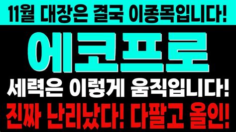 주식 에코프로에코프로비엠에코프로에이치엔 결국 이종목입니다 세력은 이렇게 움직입니다 진짜 난리났다 다팔고 올인