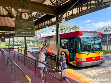 Disney Springs Bus Schedule, Tips and Advice - Disney by Mark