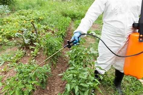 Secci N Baja De Un Hombre Rociando Plantas En El Jard N Foto Premium