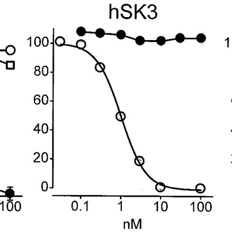 Maurotoxin Selectively Inhibits 86 Rb Efflux Through HIK1 Channels