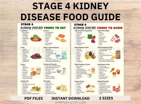 Stage 4 Kidney Disease Food List, Kidney Friendly Food List, Renal Diet