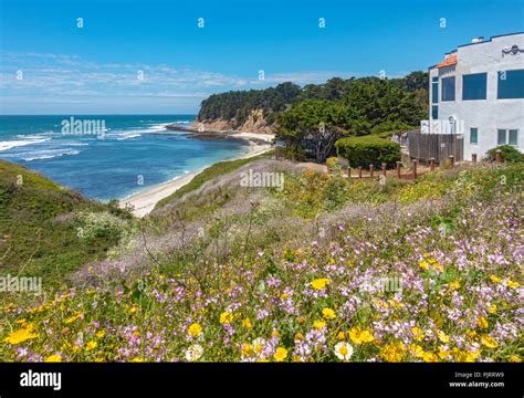 California San Mateo County Moss Beach Distillery Restaurant Built